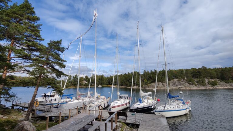 Arvskärs vårtalko 2026